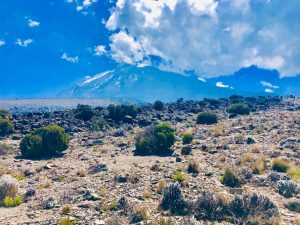 Kilimanjaro, Tim Watts July 2019
